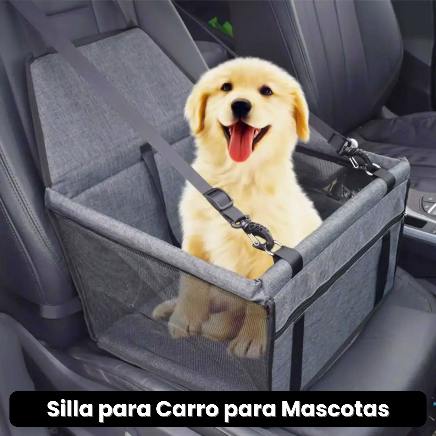 Silla para Transporte de Mascotas · ENVÍO GRATIS ·