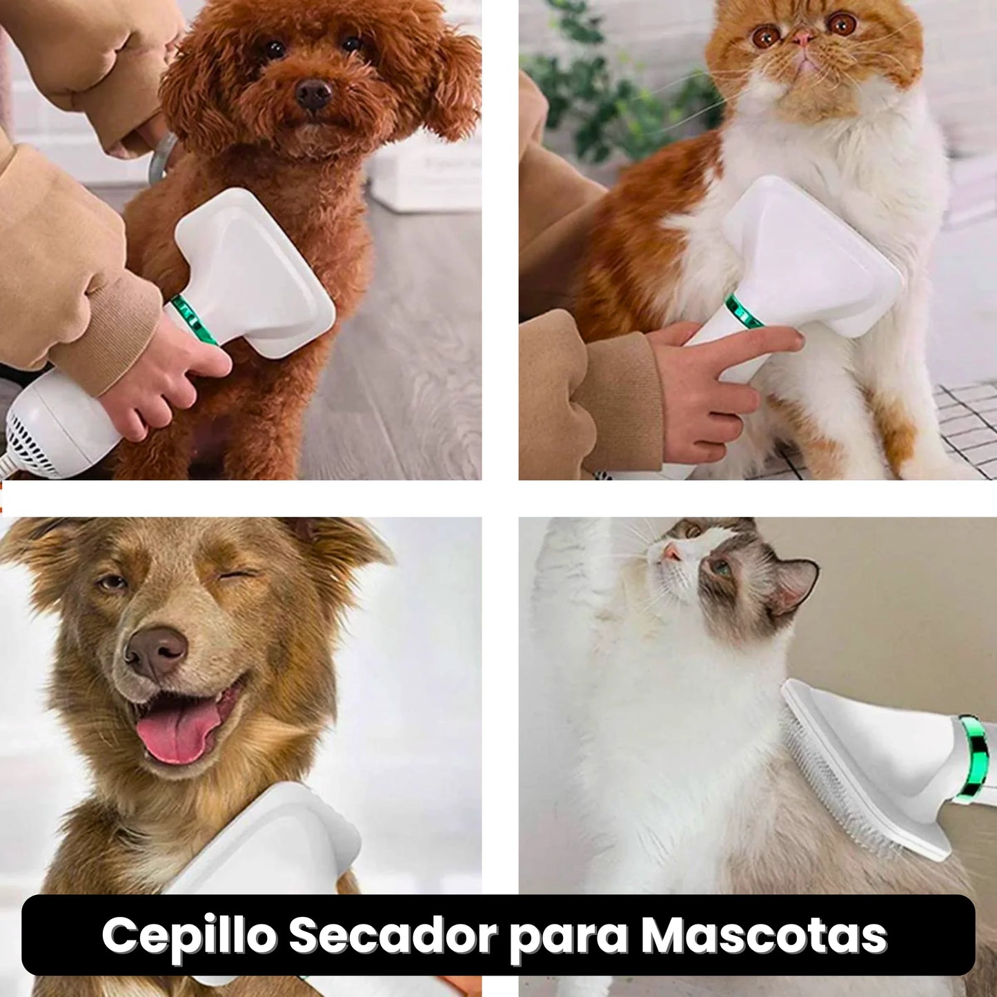 Cepillo Secador para Mascotas · ENVÍO GRATIS ·